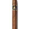 Cigar 20th Anniversary