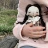 Handmade Clothdoll