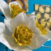 Free standing Daffodil for decorating window display, showroom, beauty lab, party, for photoshoot