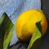 Panel with Lemons Picture with Lemons 3D lemons Home Decor