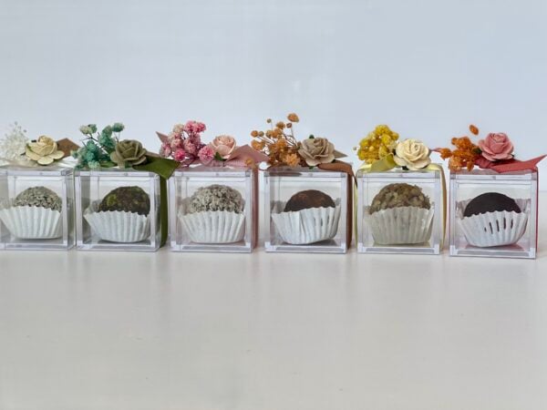 Dried Fruit Candies Favors