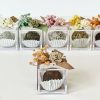 Dried Fruit Candies Favors