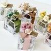 Dried Fruit Candies Favors