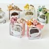 Dried Fruit Candies Favors