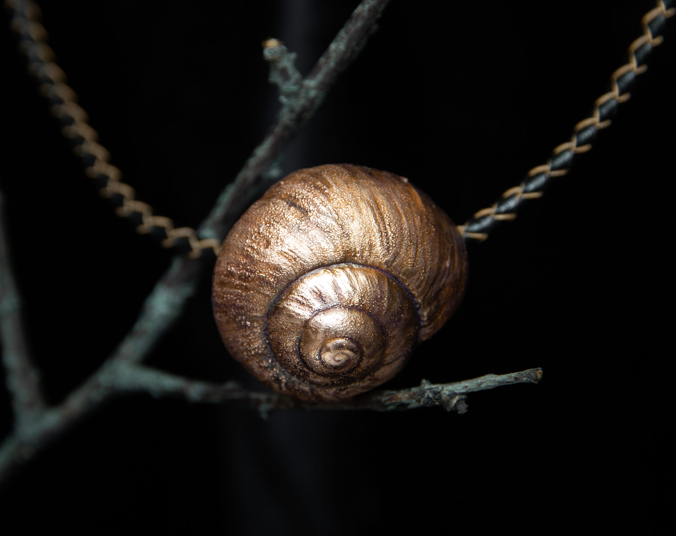 Silver Shell Necklace / Pointed Snail from the Sand Dunes/ Shell Charm –  Amy Wallis Jewellery