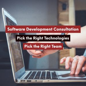 Software Development Consultation
