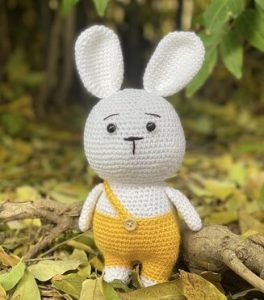 Amigurumi Bunny Crochet , 2023 new year rabbit