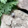 Sterling Silver Pomegranate Ring