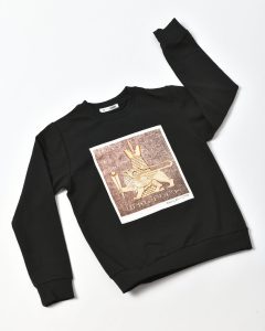 Kid’s sweatshirt with silk print “ARIN-BERD “