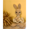 ' A Rabbit ' handmade crochet toy with rattle (R1)