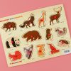 Learning the World-Forest Animals