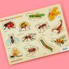 Learning the World-Insects