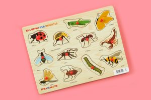 Xaxalove Learning the World – Insects, Cognitive Board Game – Develop Skills and Spark Creativity in Armenian