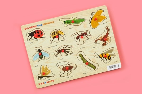 Learning the World-Insects