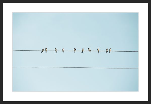 "Birds on Wires in Rural Armenia" Art Print