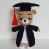 Graduate Bear