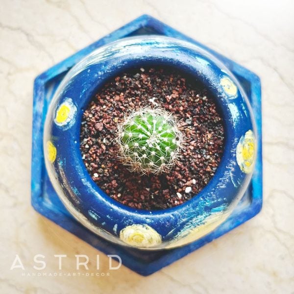 "Starry Night" Succulent/Cactus Pot with Tray