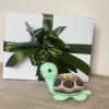 Crochet Turtle Pincushion