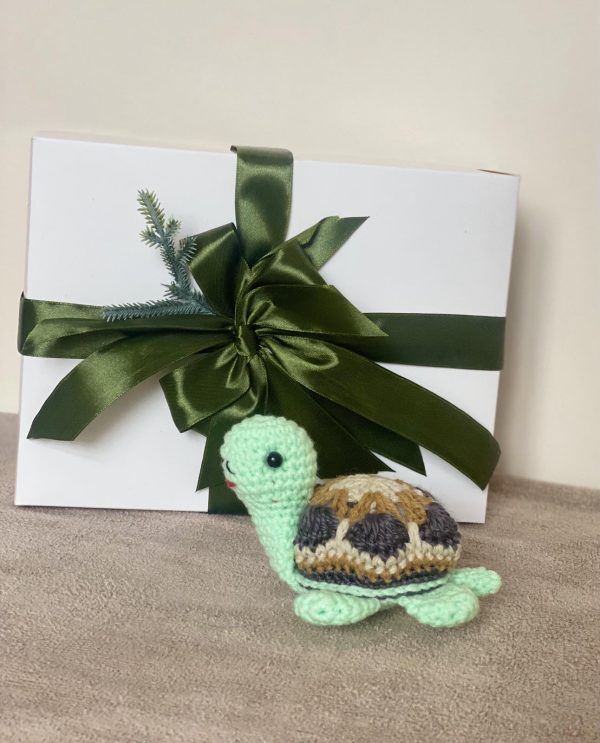 Crochet Turtle Pincushion