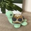 Crochet Turtle Pincushion