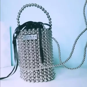 Silver Trendy Bag