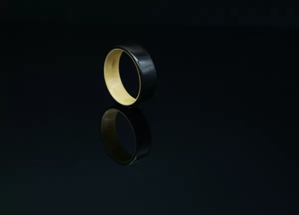 Ring Made of Ebony and Apricot Woods