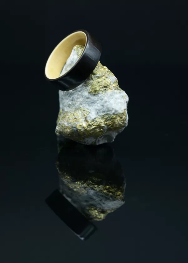 Ring Made of Ebony and Apricot Woods