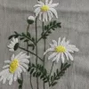 Eco-Bag Daisies