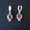 Sterling Silver Red Zircon Pomegranate Jewelry Set