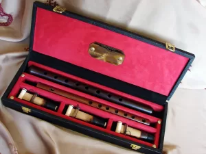 Professional Duduk and Flute in Wooden Hard Box (All Keys)