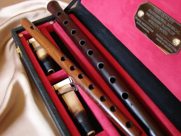 Professional Duduk and Flute in Wooden Hard Box (All Keys)