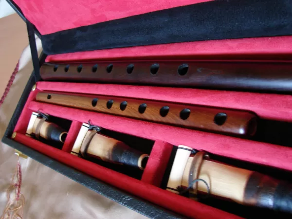 Professional Duduk and Flute in Wooden Hard Box (All Keys)