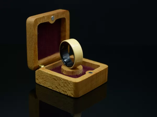 Ring, Made of Ebony and Apricot Wood