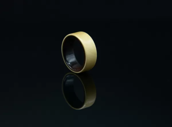 Ring, Made of Ebony and Apricot Wood