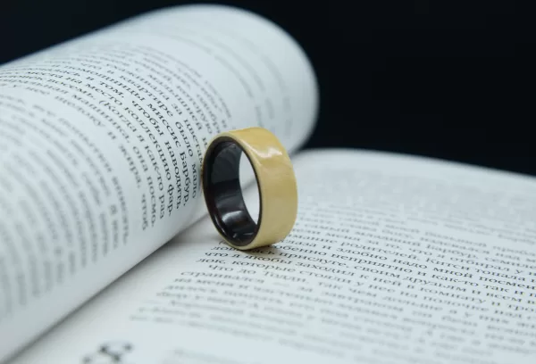 Ring, Made of Ebony and Apricot Wood