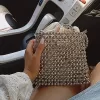 Trendy Silver Mesh Purse